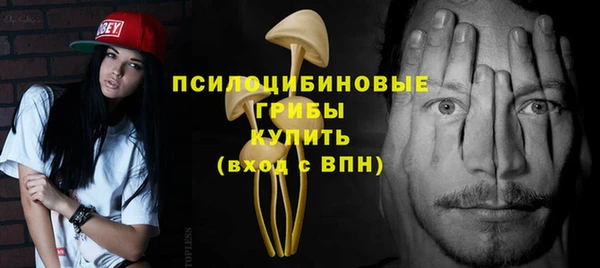 Альфа ПВП Алзамай