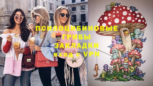 дживик Аркадак