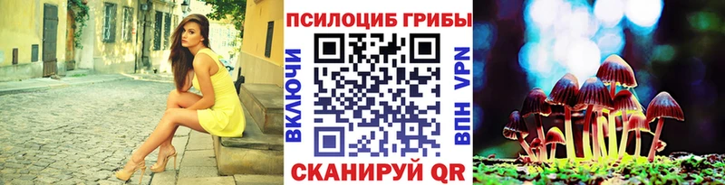 Галлюциногенные грибы Psilocybine cubensis  Богучар 